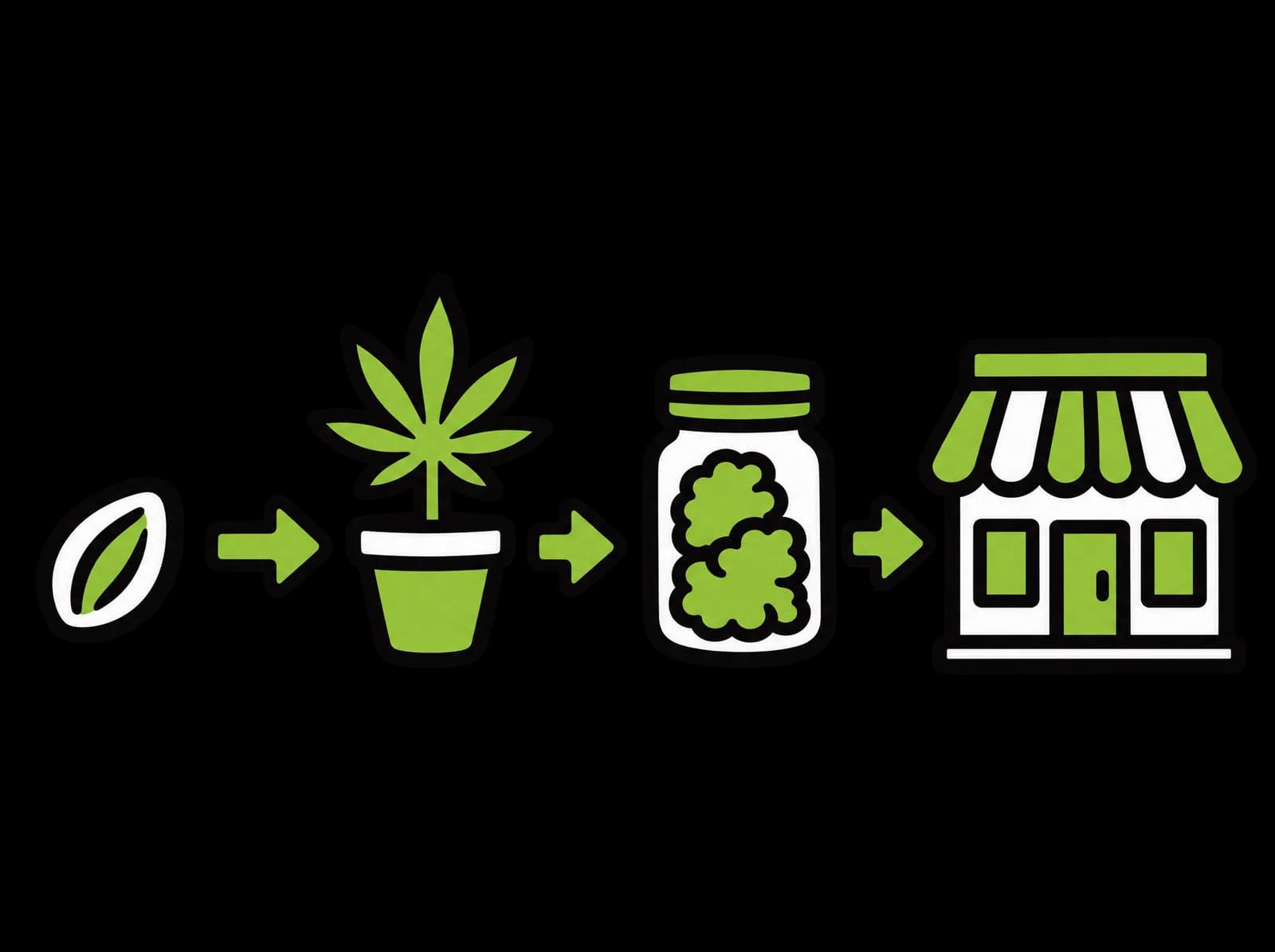Ink drawing of a seed, a potted plant, a sealed jar and a shop in a row joined by arrows